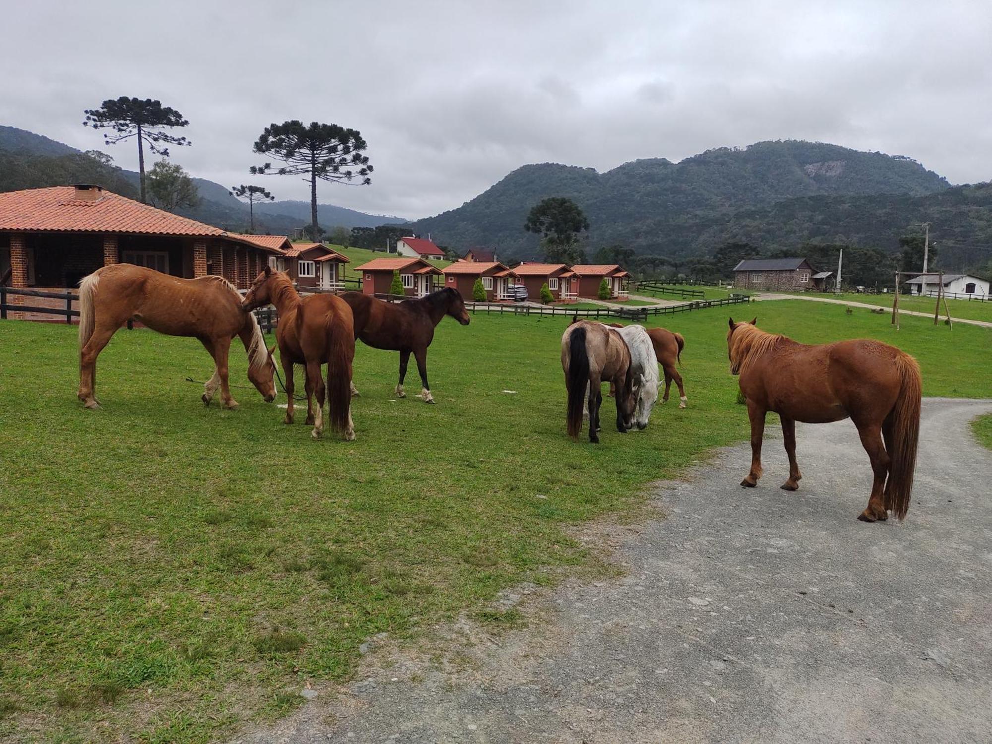 Готель Sitio Rancho Crioulo Урубісі Екстер'єр фото